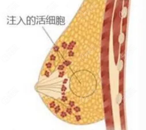 袁繼龍醫(yī)生預約方式