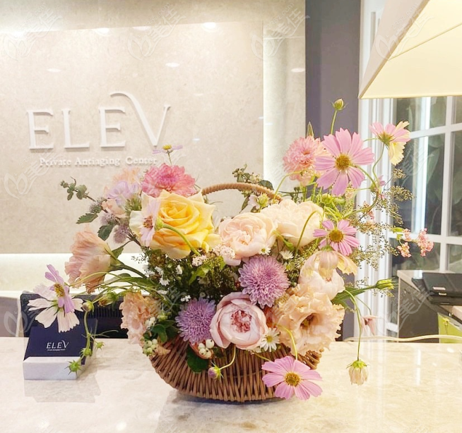 韩国elev皮肤科预约