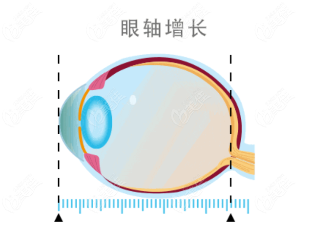 褚仁远的医生排班情况www.236z.com