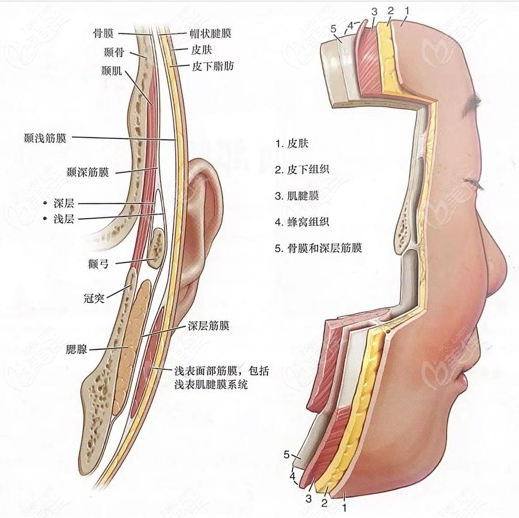 谁找过<!--<i data=20240703-sp></i>-->做拉皮手术的人