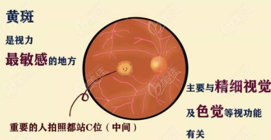 黃斑