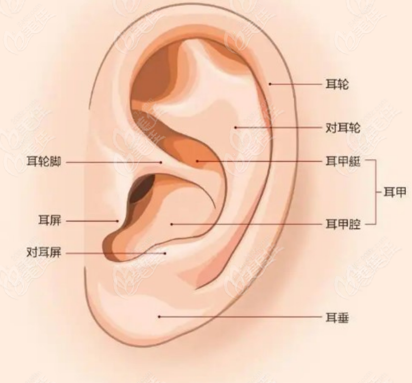 北京八大处小耳畸形手术