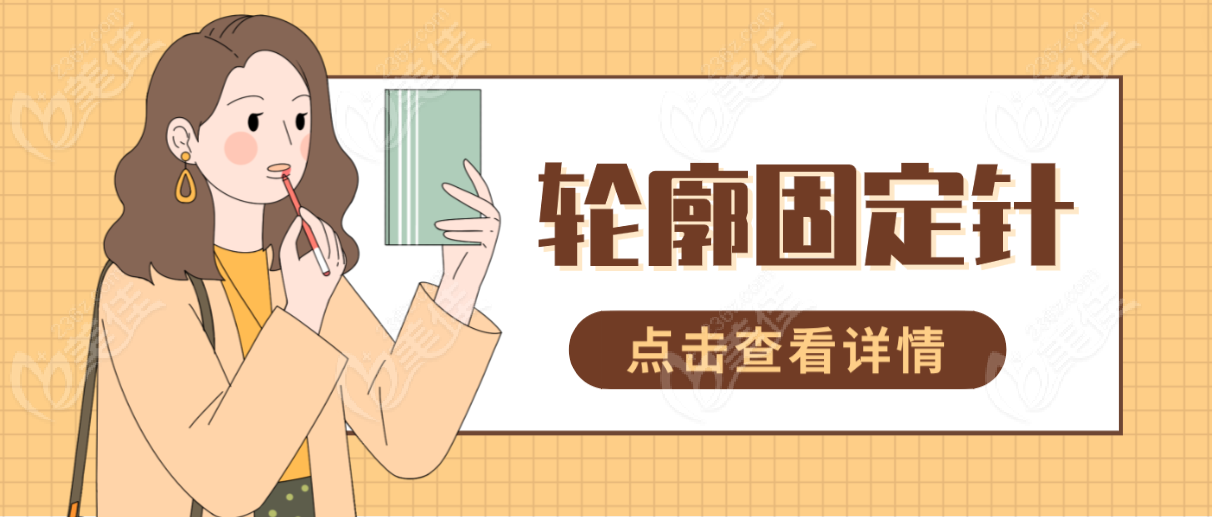 轮廓固定针