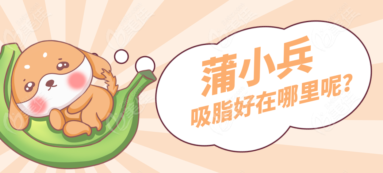 蒲小兵医生吸脂好体现在哪里