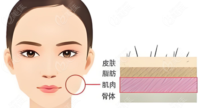 <!--<i data=20240703-sp></i>-->和黄寅守拉皮术后疗效对比www.236z.com
