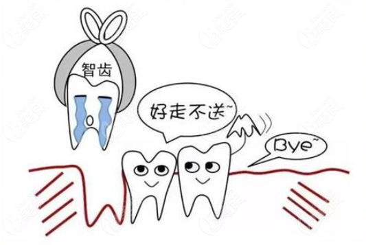 <!--<i data=20240703-sp></i>-->摩尔口腔拔智齿好