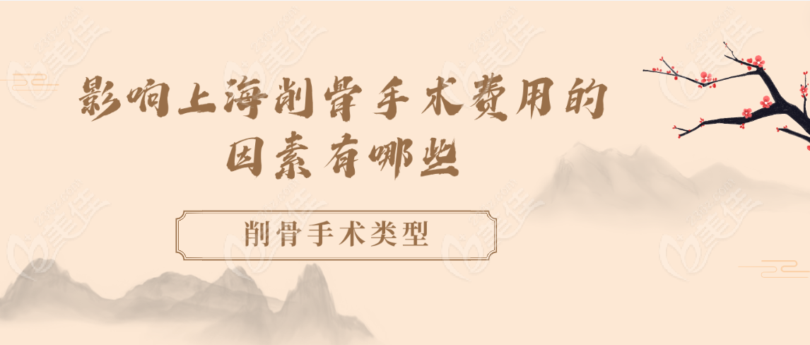 影响因素1：削骨手术类型