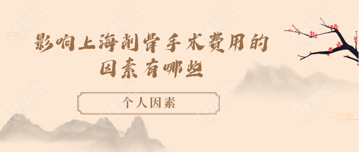 影响因素2：个人因素