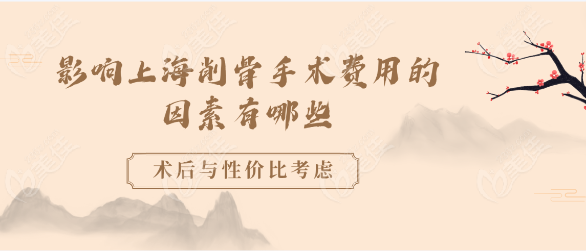 影响因素5：术后与性价比考虑