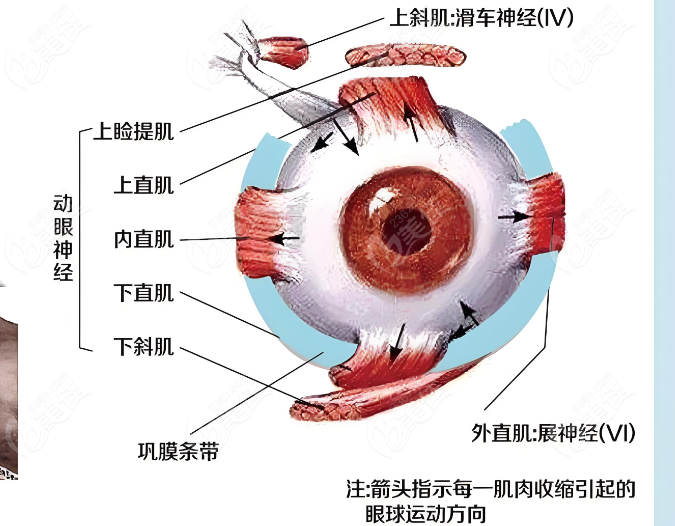 技术好没啥不适感,价格2w 可预约挂号