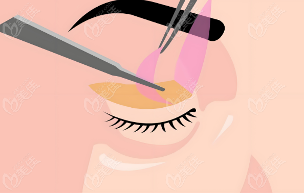 <!--<i data=20240703-sp></i>-->徐曉斐屬于高端檔次