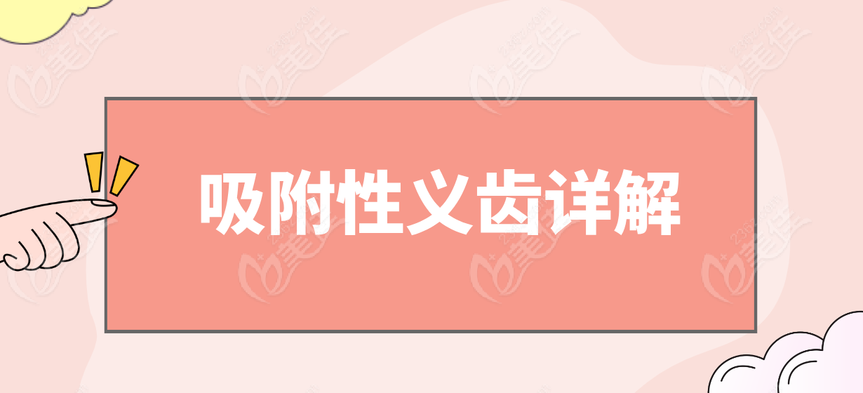 吸附性义齿详解236z.com
