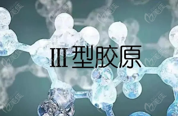 三型胶原蛋白有哪些牌子