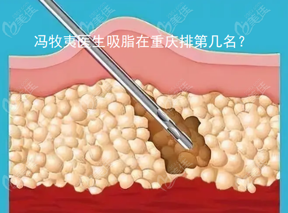 搜狗高速浏览器截图20240801150853.png