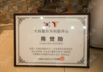 韩国陈整形外科医院院长
