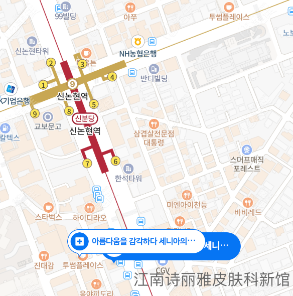 韩国江南诗丽雅皮肤科地址 韩国江南诗丽雅皮肤科地址