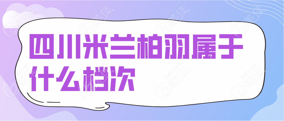 四川米兰柏羽属于什么档次