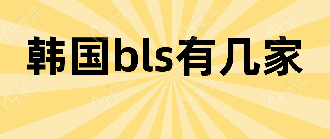 韩国bls有几家