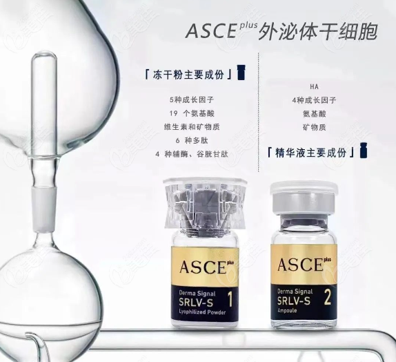 ASCE外泌体水光