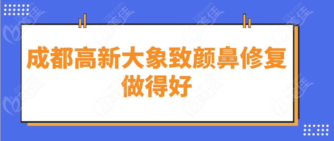 成都鼻修复做得好的有：成都高新大象致颜