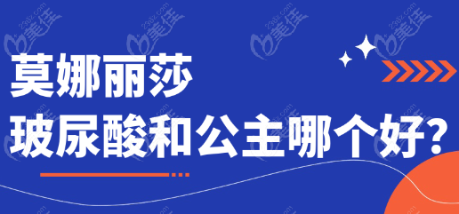 莫娜丽莎VS公主玻尿酸