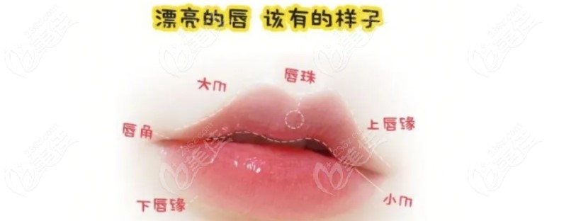 王晓健唇整形实例分享 m.236z.com