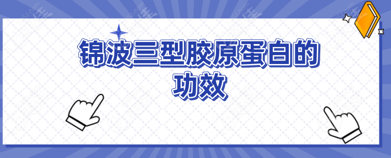锦波三型胶原蛋白的功效