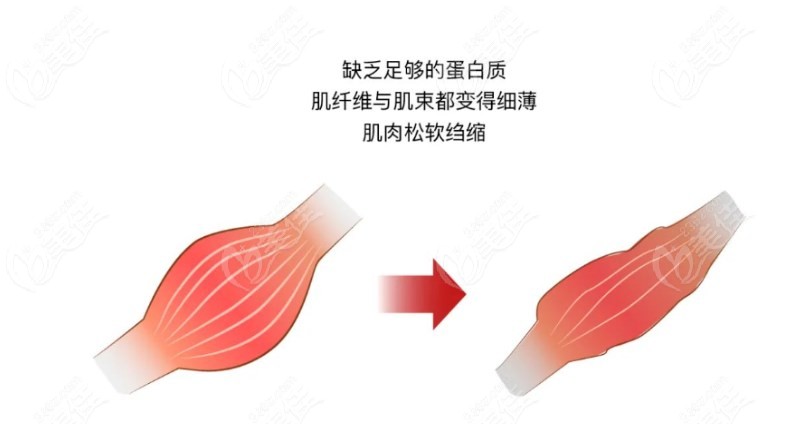 肌肉
