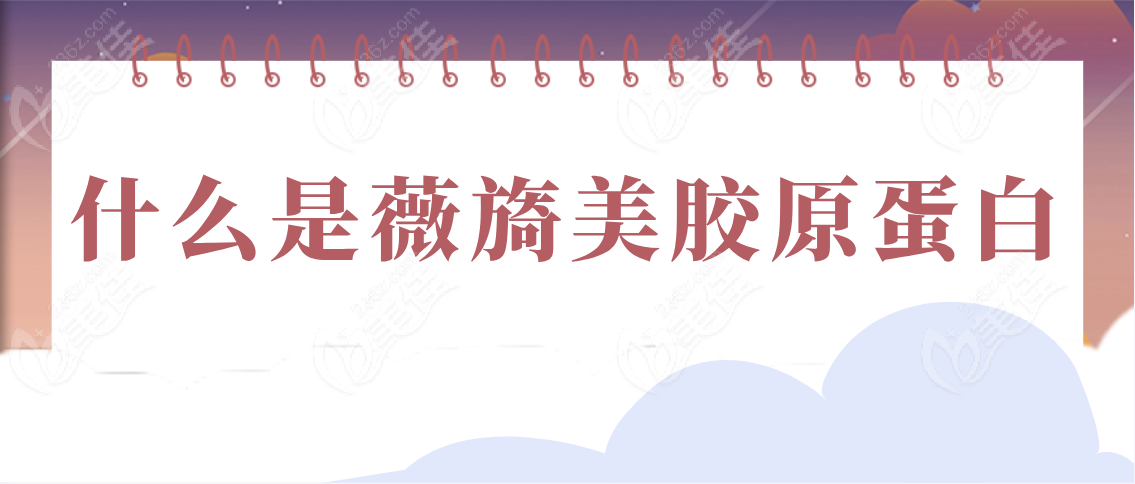 什么是薇旖美胶原蛋白