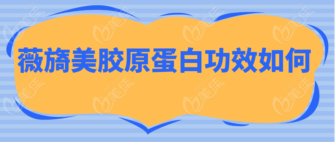 薇旖美胶原蛋白功效如何
