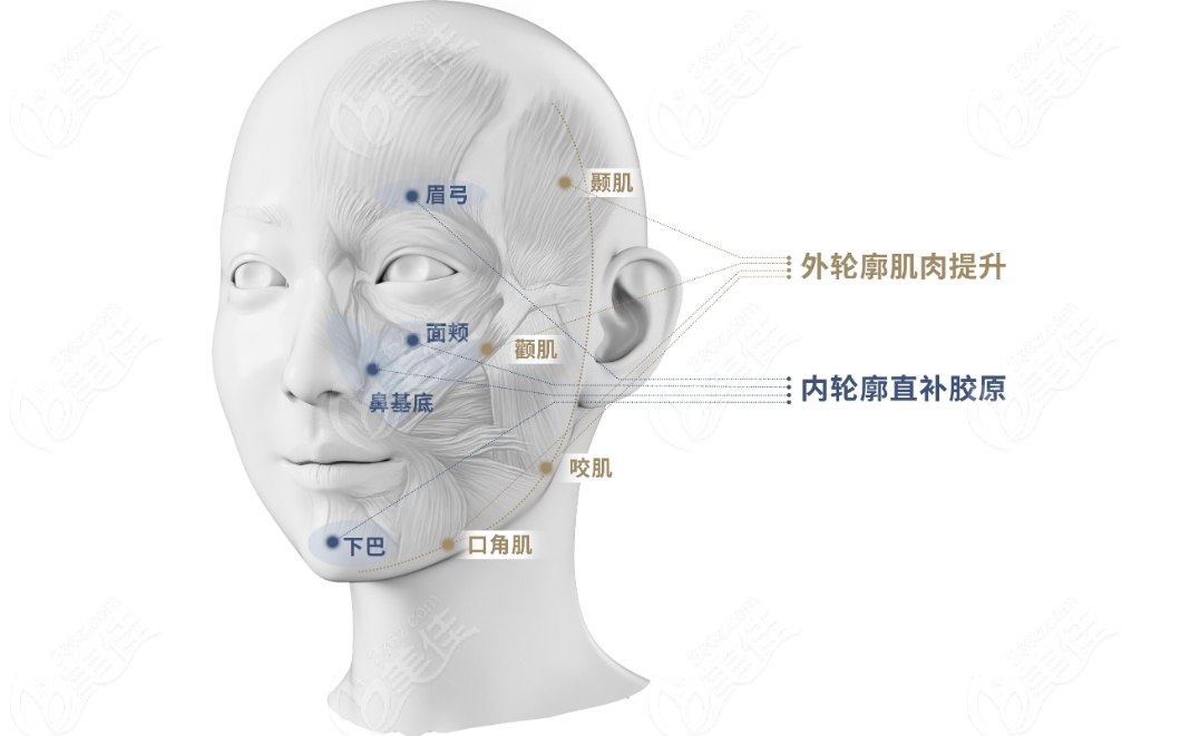 Babyface的正确位置和作用详解