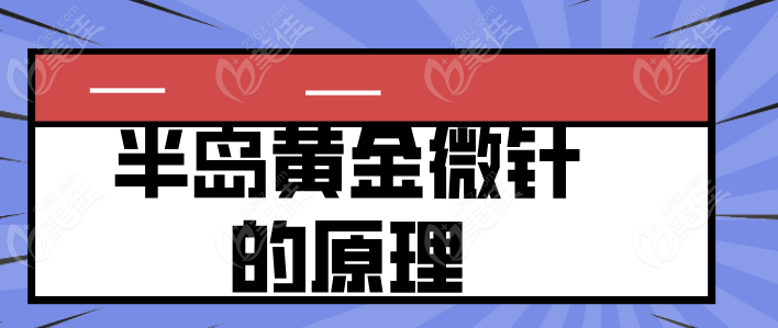 半岛黄金微针的原理