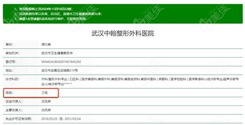武汉中翰是几级医院