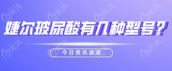 婕尔玻尿酸有几种型号