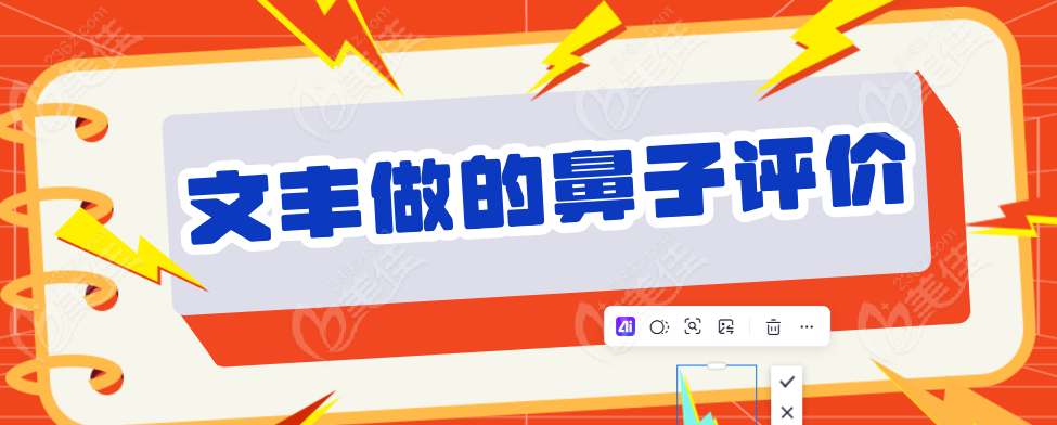 文丰做的鼻子评价