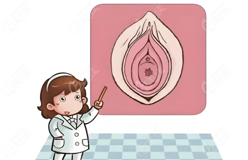 女性私整形在线24小时免费