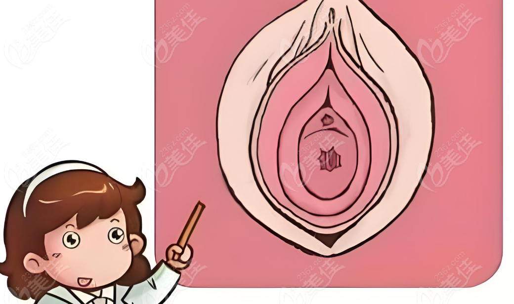 国内处女膜修复手术医院排名推荐www.236z.com
