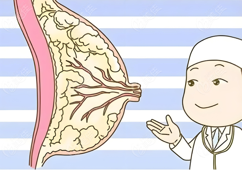 国内女性乳房整形医生排行榜前十www.236z.com