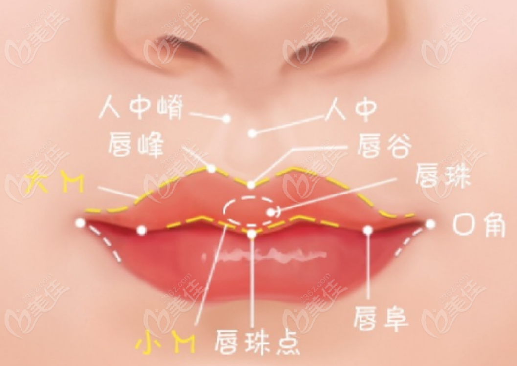 唇部整形医生