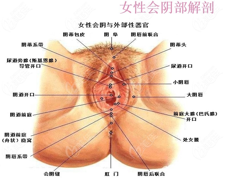 淄博哪家医院私密整形看得好