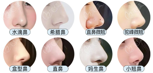 成都陶俊做鼻子的风格