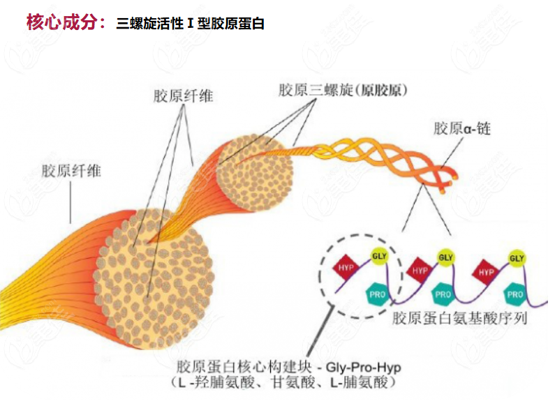 贝瑞茜胶原蛋白是正规品牌
