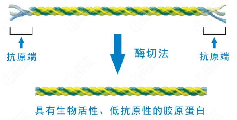 贝瑞茜胶原蛋白档次高