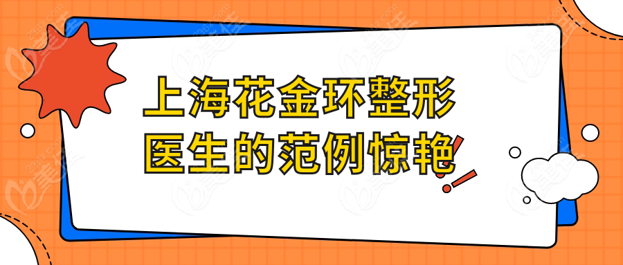 上海花金环整形医生的范例惊艳