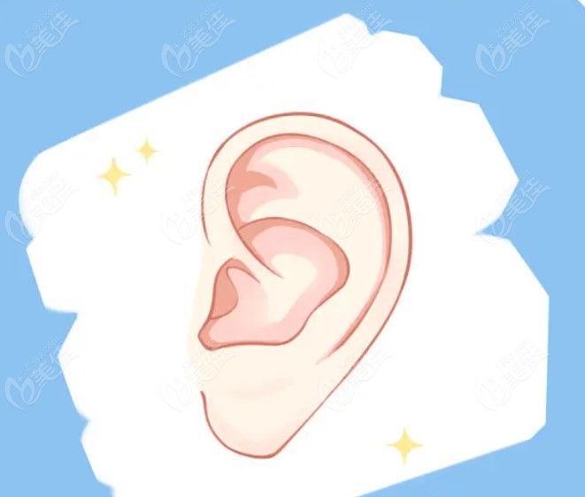 段伟强做第2次耳朵手术的作品