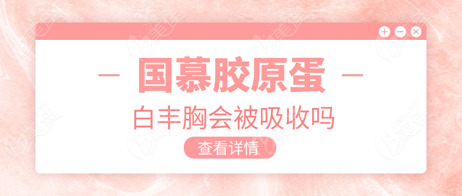 国慕胶原蛋白丰胸会被吸收吗