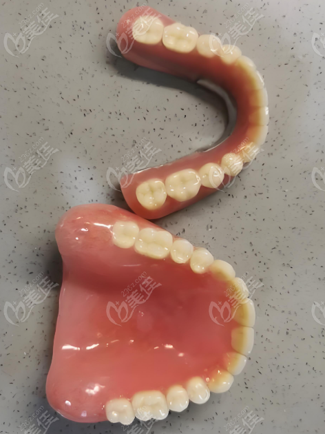 装假牙模型