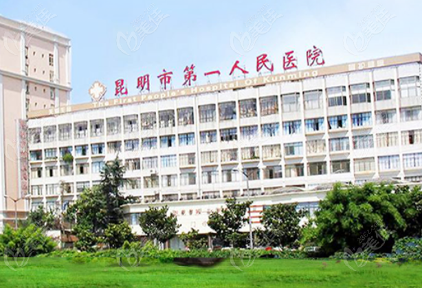 2025昆明市人民医院口腔科价格表