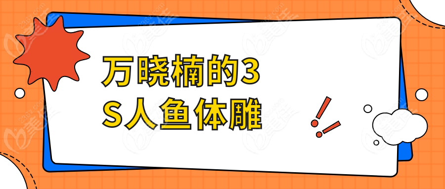 万晓楠的3S人鱼体雕