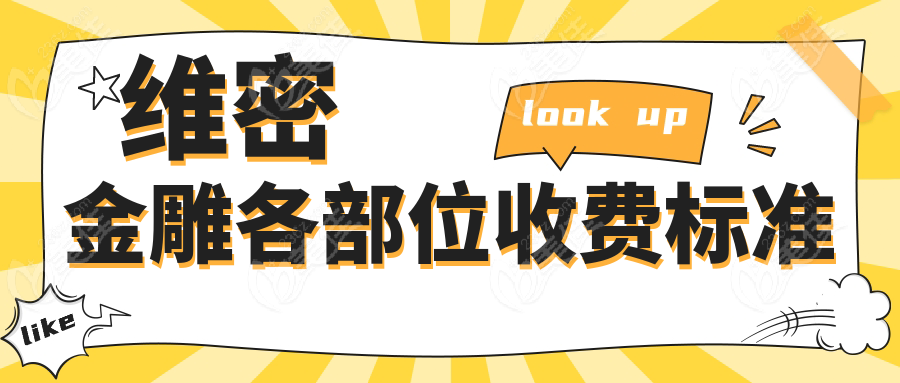 维密金雕各部位收费标准